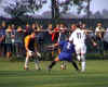Zber zo zpasu Lb - Zohor 2:0